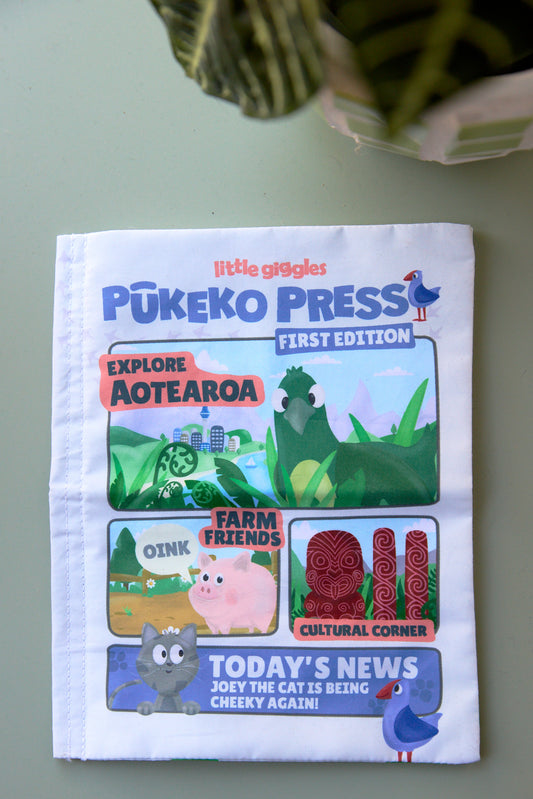 Pūkeko Press baby sensory toy front cover with colourful Aotearoa illustrations