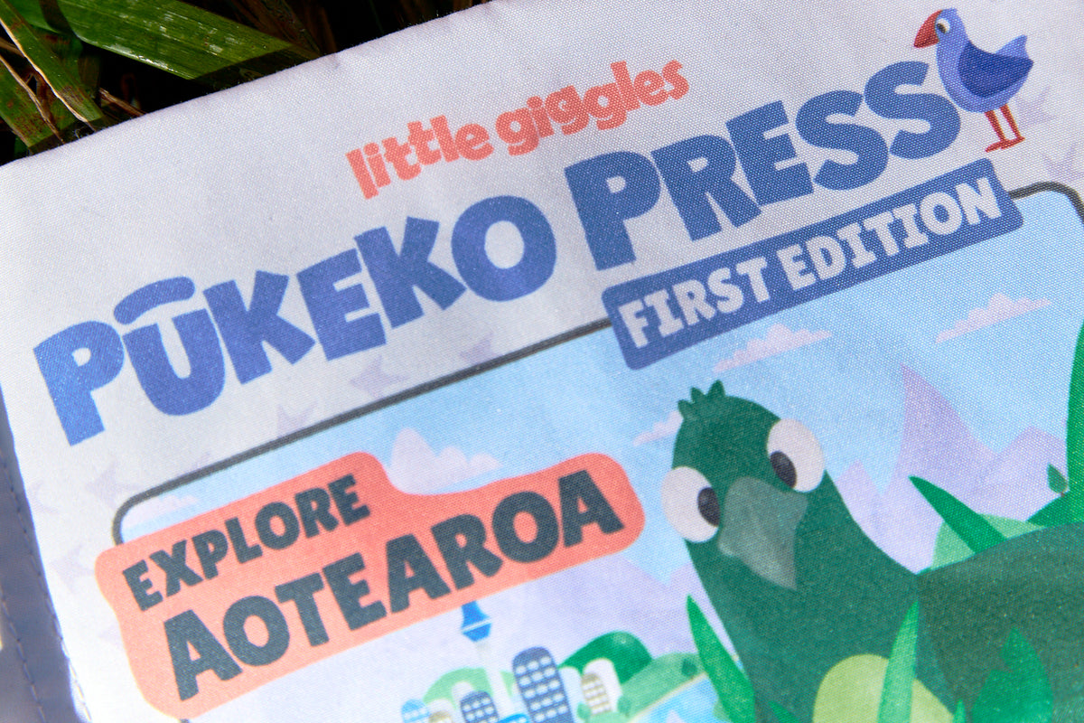 Close-up of Pūkeko Press front cover and colourful illustrations